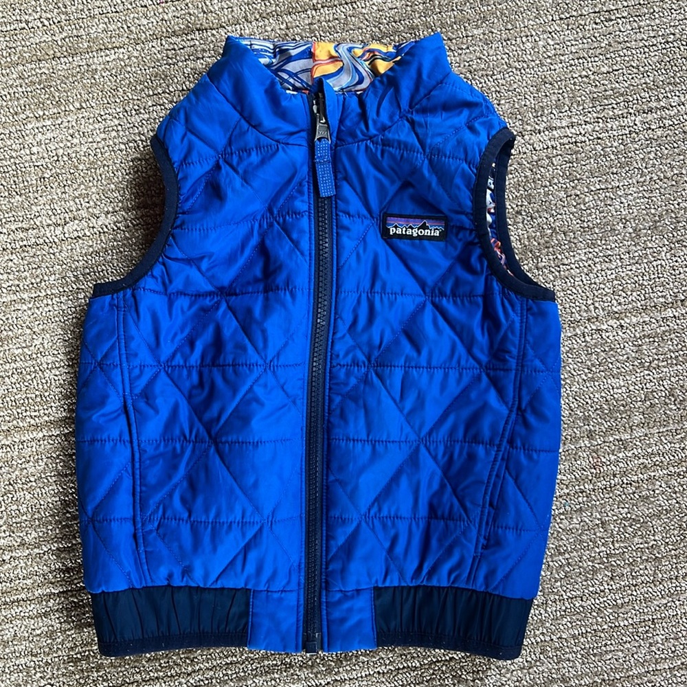 Patagonia baby down sweater vest